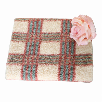 solo poliéster 100% de la tela de Brown Sherpa del lado 188F para el jersey de la materia textil del hogar de Pillowslip